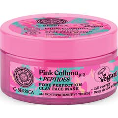 Natura Siberica Masque Facial à l'Argile Pores Parfaits 100 ml