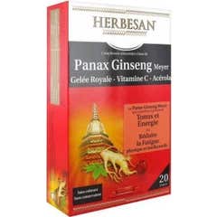 Herbesan Ginseng Gelée Royale 20 ampoules de 15ml