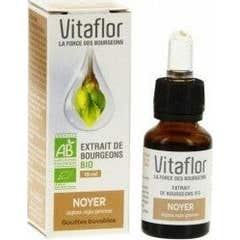Vitaflor Extrait de Bourgeon Bio Noyer 15mL