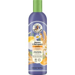 Mama Pharmelia Shampoo Répare et Récupère Tous Types de Cheveux 500 ml