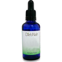 Dietinat Extrait de Ginkgo Biloba 50ml