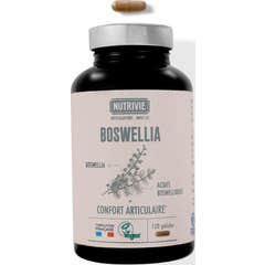 Nutrivie Boswellia 120 Gélules