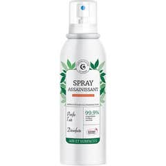 Giphar Spray assainissant 150 ml
