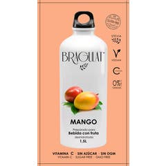 Boisson soluble Bragulat Mangue 9gx15uds