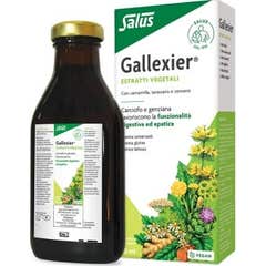 Salus Floradix Gallexier® formule à base de plantes 250ml