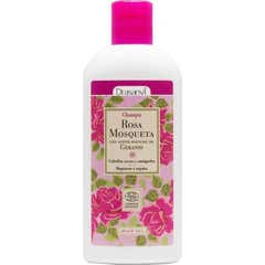 Shampooing bio à la rose musquée de Drasanvi 250ml