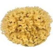 Sanodiane Eponge Nat