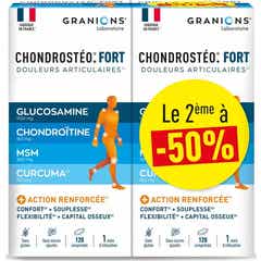 Granions Chondrostéo+ Fort Articulations 2x120 Comp