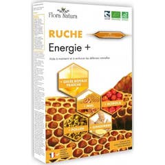 Flora Natura la Ruche Dynamic Bio 10amp