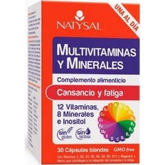 Natysal Multivitamines Minérales Minérales 30 gélules