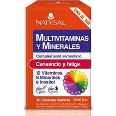 Natysal Multivitamines Minérales Minérales 30 gélules