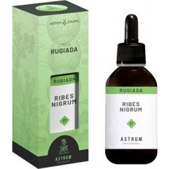 Cassis 50Ml (Rides des plantes