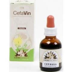 Cefavin Olosvita 50Ml
