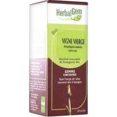 Herbalgem Macératsméres Concentrés Vigne Vierge 30ml