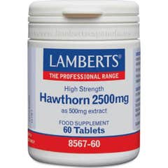 Lamberts Hawthorn 2500mg 60 Comprimés
