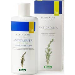 Derbe Humusvitalis Shampooing Antichute 200ml