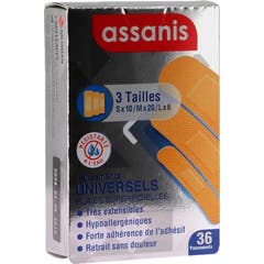 Assanis Pansements Universels 3 Tailles 36 uts