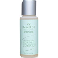 Inahsi Naturals Soothing Mint Gentle Cleansing Shampoo 57g