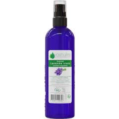 Voshuiles Hydrolat Lavande Cosmos 100 ml
