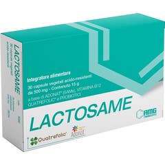 Amg Farmaceutici Lactosame 30caps