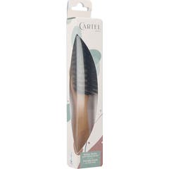 Cartel Paris Brosse Droite 7 Rangees Manche Bois 22.5 cm