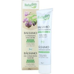 Herbalgem Bálsamo Consuelda Bio 60g