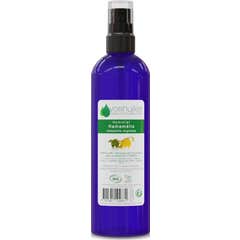 Voshuiles Hydrolat d'Hamamélis Cosmos 200 ml