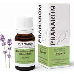 Pranarôm Huile Essentielle Lavande 10ml