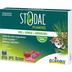 Stodal Plantes Nez & Gorge & Bronches Fruits Rouges 36comp