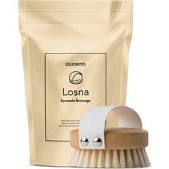 Oliorito Losna Brossage Brosse 1ut