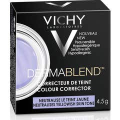 Correcteur Dermablend Violet Pe
