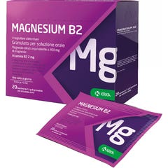 Krka Magnesium B2 300 2mg 20 Sachets