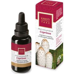 Hiranyagarba Karoti-Take Elixir Concentré Coprinus 30ml