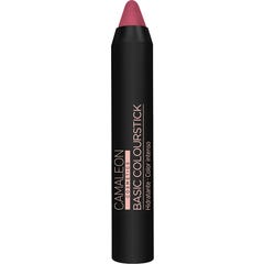 Camaleon Cosmetics Basic Colourstick Nude Rose Foncé 4 g