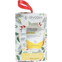 Alvadiem Stick Lèvres Hydratant + Crème Mains Hydratante 30 ml