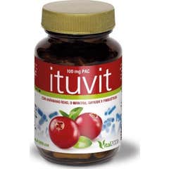 Vital 2000 Ituvit 30caps