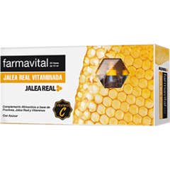 Gelée royale vitaminée Pharmavital 20 flacons