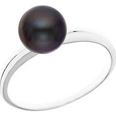 Fayet Accroche Canne Noir S2017N