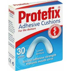 Roulement Protefix Super 30Pcs