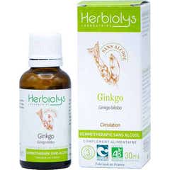 Herbiolys Ginkgo Bio Gemmothérapie Sans Alcool 30ml