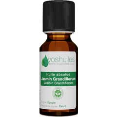 Voshuiles Huile Absolue de Jasmin Grandiflorum 2 ml