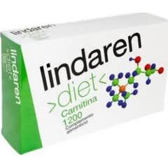 Artesania Agricola LindarenL Carnitine 20 Ampoules Artesania Agricola LindarenL Carnitine 20 Ampoules