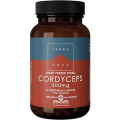 Terre-Neuve Cordyceps 500 mg (Cordyceps Sinensis) 50 gélules