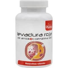 Plantis Levure de Riz Rouge Q10 120caps
