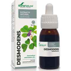 Extracto Desmodens Xxi Soria Natural *