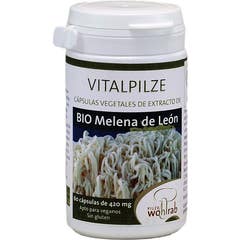 Pilze Wolhrab Melena Leon Bio 420mg 60 Gélules