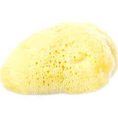Starbene éponge naturelle moyenne 9Cm