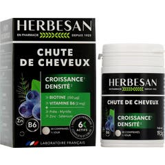 Herbesan Chute de Cheveux 30comp