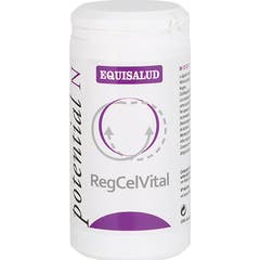 Regcelvital Micronutrition 60 Cap 60