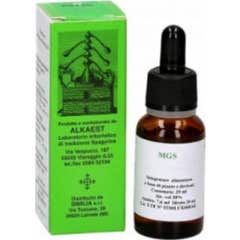 Alkaest Alkaest Quintessenza Q27 Huile Essentielle de la Valériane 10ml